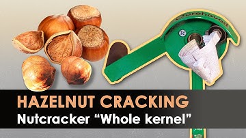 How to cracking hazelnuts at home? Nutcracker "Whole kernel"
