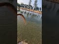 subscribe please