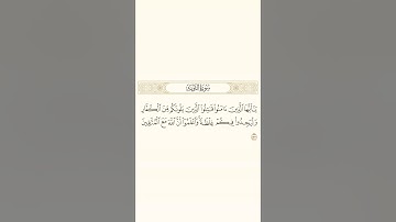 الشيخ قايد اليريمي ماتيسر من سورة التوبة 2