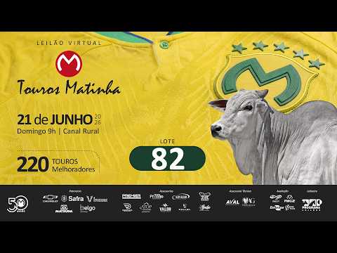 LOTE 82
