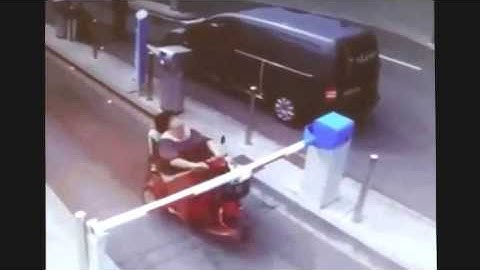 Самые смешные видео клипы.забавные животные Смешные Шалости и Шутки глупые люди