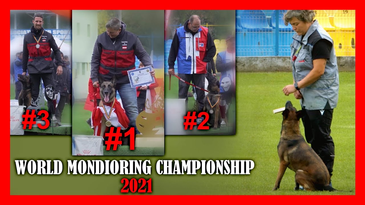 World Mondioring Championship 2021