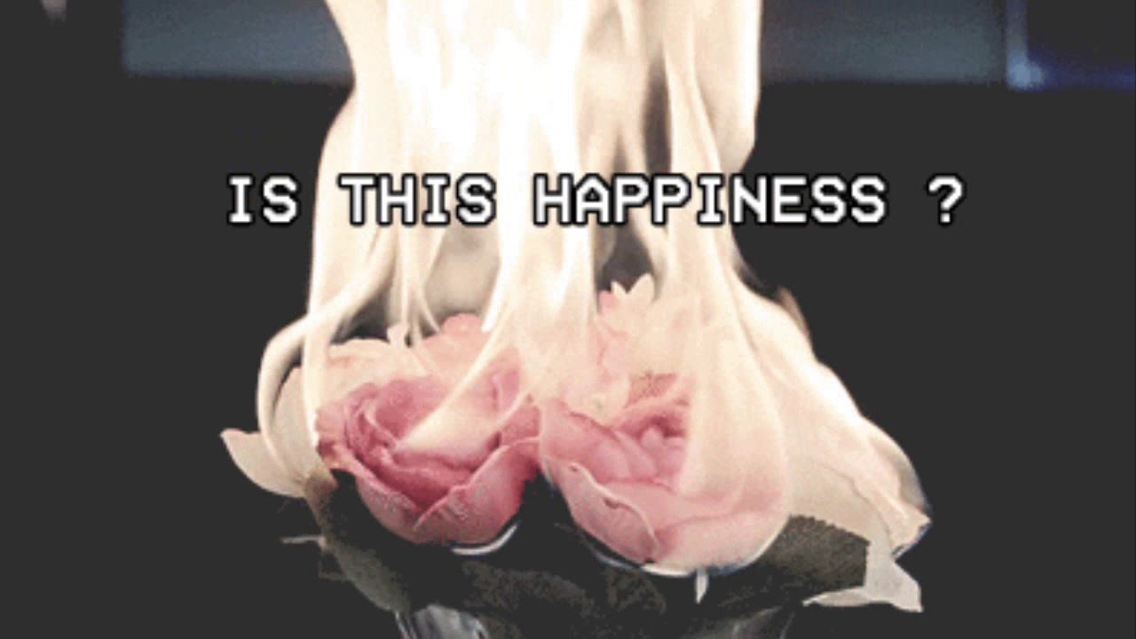 Rain outside the window - DXY