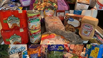 Grocery Haul Compilation (Costco, Aldi, Walmart, Trader Joe’s And Dollar Tree
