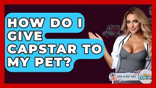 How Do I Give Capstar To My Pet - Ask A Pet Vet