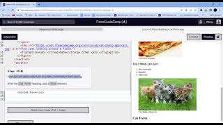 Learn HTML by Building a Cat Photo App  Step - 35  || freeCodeCamp screenshot 3