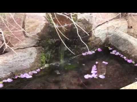 Native Americans and Sacred Water