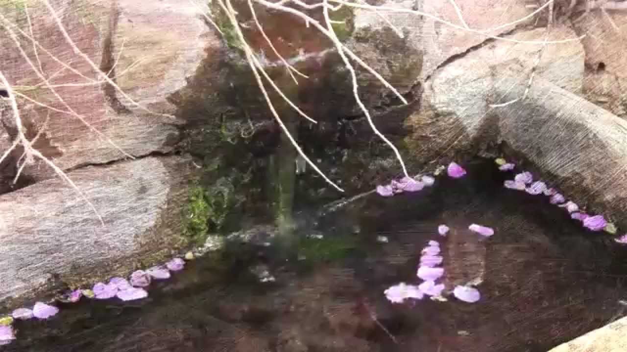 Native Americans and Sacred Water