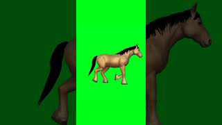 Den Horse Running Green Screen Video 2