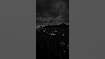 وتولى عنهم وقال يا اسفى على يوسف🌿🌿#تلاوات تريح قلبك#إسلام صبحي