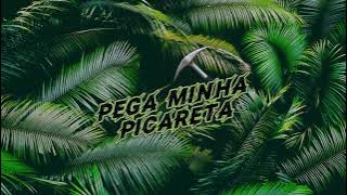 PEGA MINHA PICARETA ⛏️ - DEEJAY TELIO - RENNAN DA PENHA - SAVANAH