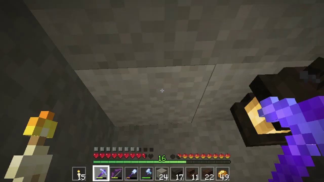 身内鯖 マイクラ レルムズ鯖 Youtube