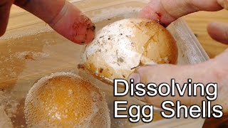 Egg Shell Science Experiment  Dissolves in Vinegar