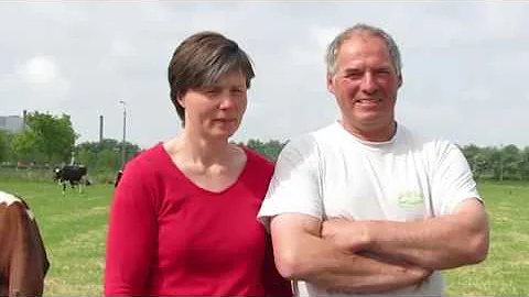 Jaký je rozdíl mezi vyrovnávací pamětí a paměti?