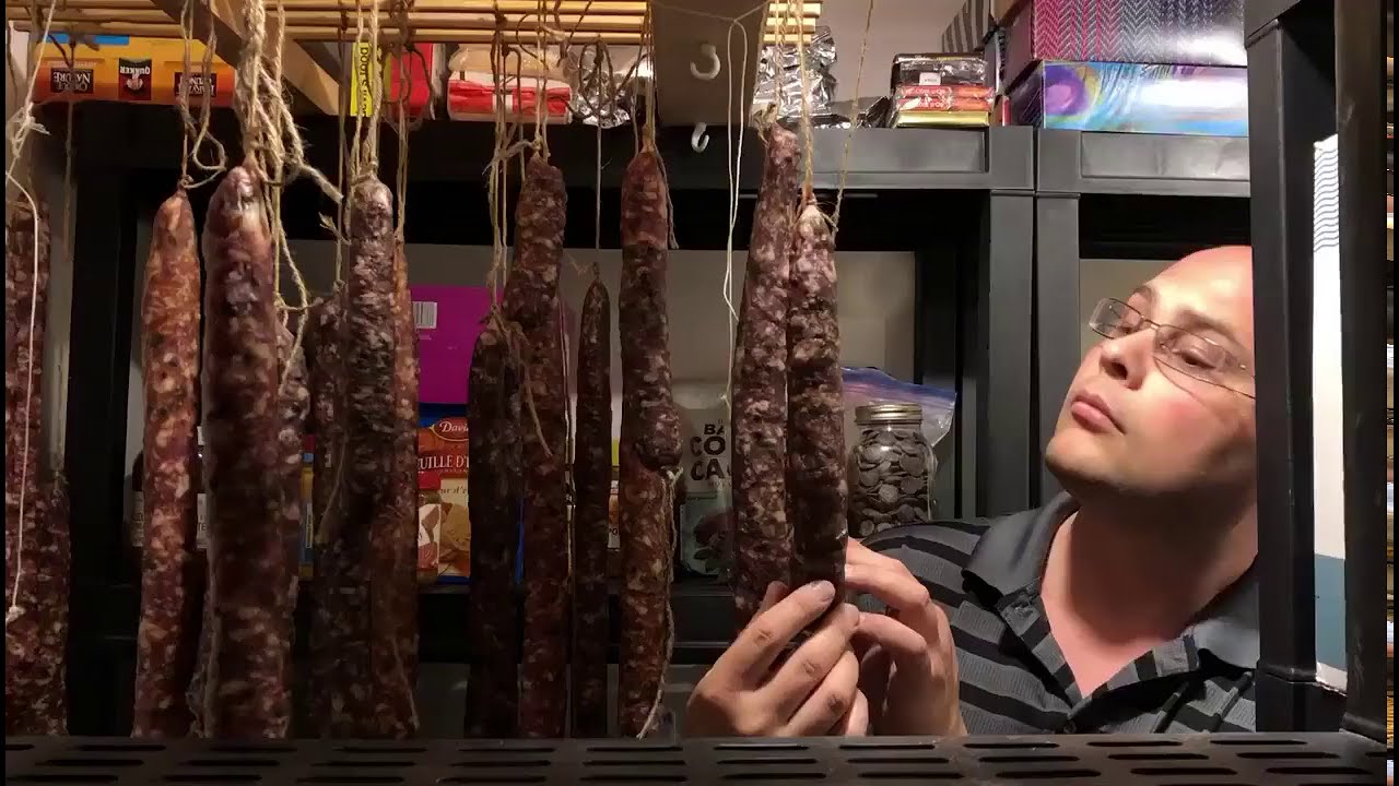 Cours de Saucisson Secs Apparission de la fleur - YouTube
