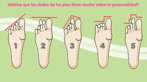 ¿Cómo se le llama a los dedos de los pies?