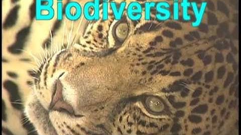 Biodiversity: The Web of Life