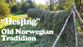 Hesjing: Reviving an Ancient Norwegian Hay Drying Technique