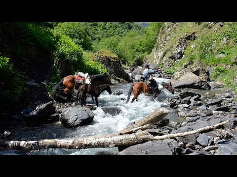 შაგვიბრალონ, გზა მოგვცენ ხახაბოს, ჯერ ცოცხლები ვართ - მარუსა მინდიკაური