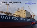 BALTIC REEFERS-СЕРЫЕ КАРДИНАЛЫ МИРОВОГО РЕФРИЖЕРАТОРНОГО ФЛОТА