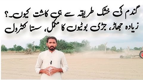 Best sowing method of wheat | wheat dry sowing | weeds control in wheat.