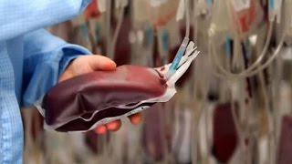 Synthetic blood trial coming in 2017