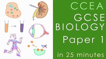 All of CCEA BIOLOGY Paper 1 in 25 minutes - GCSE Science Revision