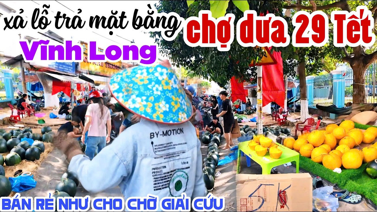 VỠ CHỢ 29 TẾT XẢ LỖ XẢ RẺ VỀ ĂN TẾT CHỢ DƯA HẤU VĨNH LONG BÁN LỖ CẦU GIẢI CỨU TRẢ MẶT BẰNG | KPVL
