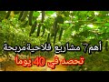 أهم7 مشاريع فلاحية مربحة جدا وغير مكلفة وتحصد في 40 يوما 