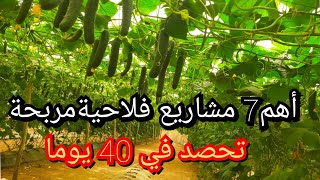 أهم7 مشاريع فلاحية مربحة جدا وغير مكلفة وتحصد في 40 يوما