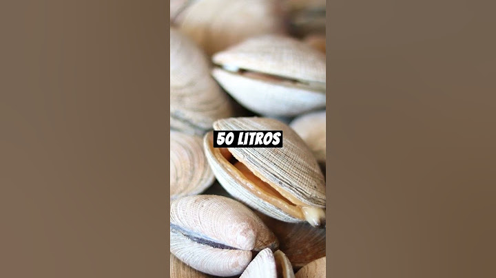 Datos sobre las almejas #animales #fauna #naturalea #oceano #moluscos #almejas