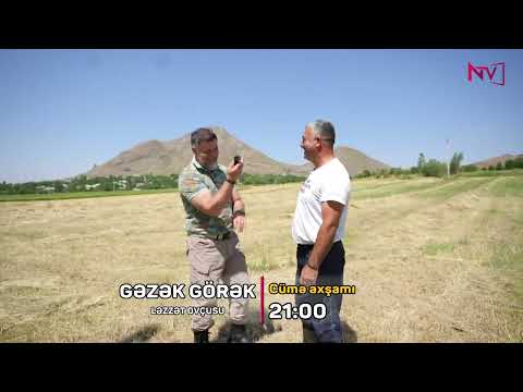 TEASER - LET'S GO EXPLORE