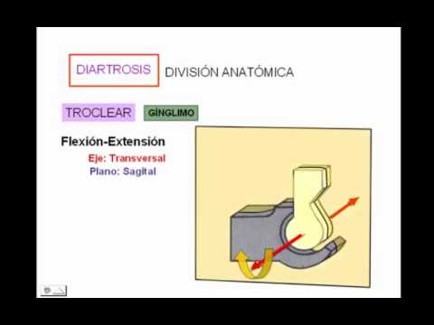 camera iphone 8 plus apk generalidades