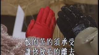 温兆伦 随缘 粤语 541701