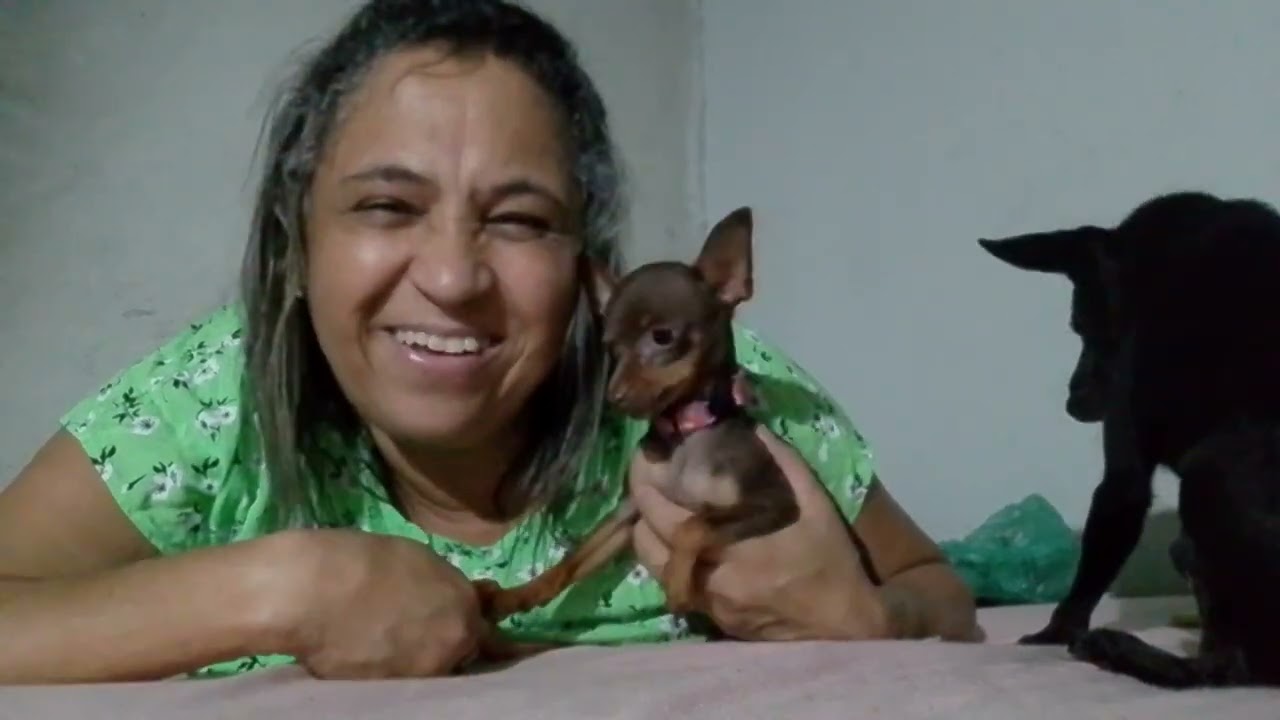 Olha a diferença de Maya pra Pytucha estressada ❤️