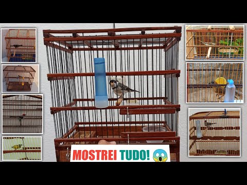 Vídeo: Lustre Com Pássaros (28 Fotos): Opções Para Modelos Com Pássaros Em Gaiola No Interior