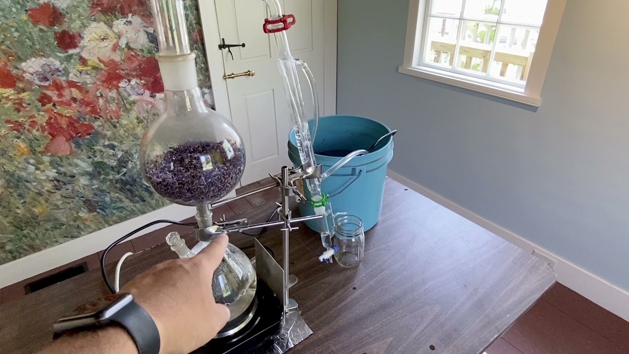 Essential Oil Distillation (no music)