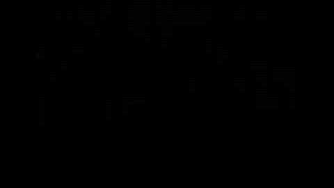 How to crash Super Mario 64 using pebbles