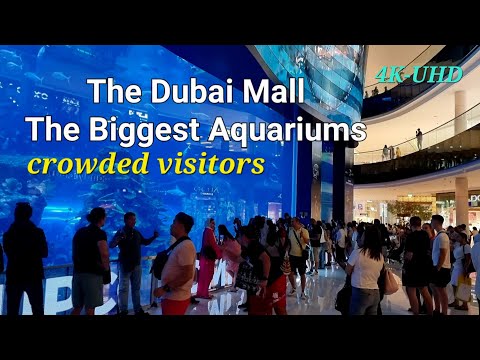 [4k] THE BIGGEST AQUARIUM IN THE WORLD IN DUBAI MALL , Crocodile Island, Crowded visitors , AMAZING