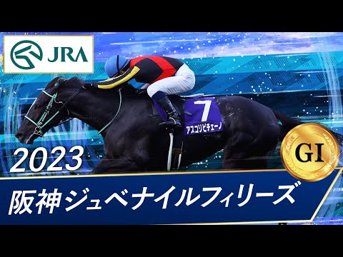 2023年 阪神ジュベナイルフィリーズ（GⅠ） | 第75回 | JRA公式