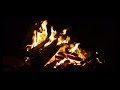 🔴 LIVE 24/7: Cozy Campfire ASMR | Crackling Fire Sounds for Deep Sleep &amp; Focus