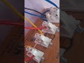 normal switch board fetting with consil wearing #shortvideo #short #electrical #viral #viralvideo
