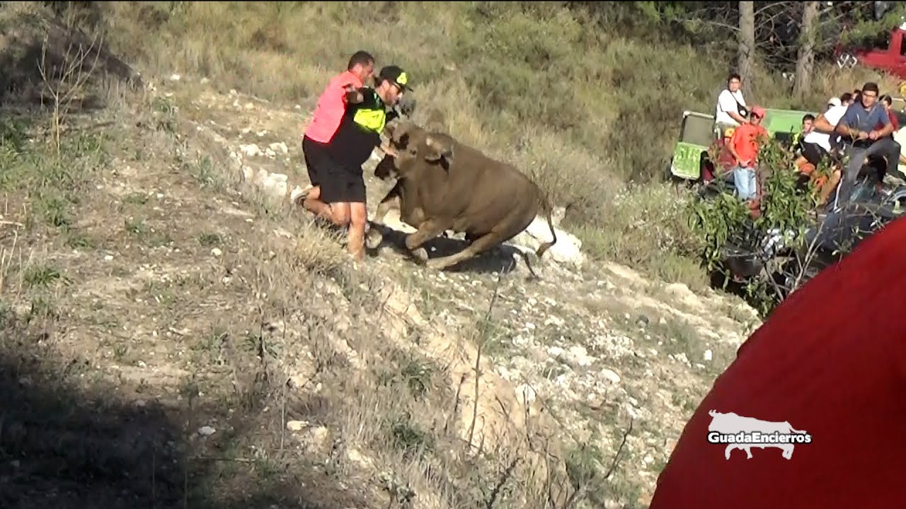 Susto grande de Javi (Encierro de Tendilla 07-10-2023)GuadaEncierros