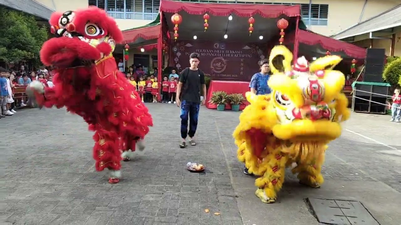 loh loh loh loh kog pada ngepantun ??? || Chai sen menari bersama barongsai