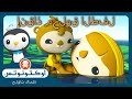 أوكتونوتس | 🦦 أجمل مخلوقات البحر الصغيرة 🛟 | حلقات مجمعة