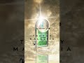 Trophy-World Malaysia | Custom Trophies & Plaques Supplier - Custom Petronas Trophy