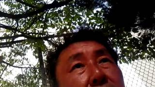 I didn't vote since bush and al gore! VID 20150623 085825