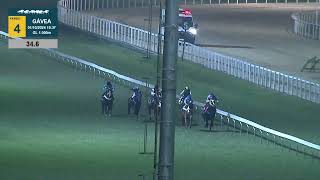 Vidéo de la course PMU PREMIO CRANACH