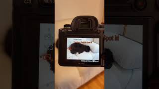 How To Get Crispy Sharp Images | Photography Tips
