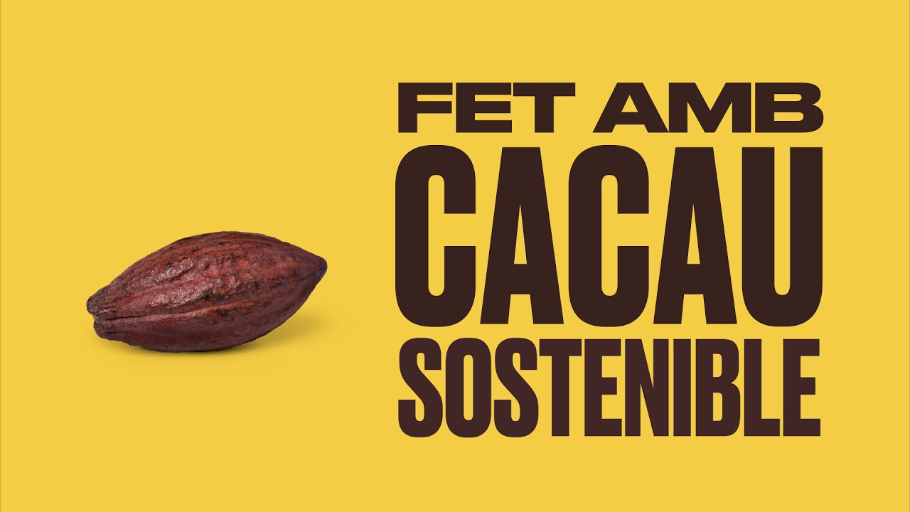 Ingredients Cacaolat YouTube ingredients-cacaolat-youtube